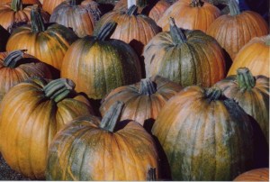 pumpkin_small