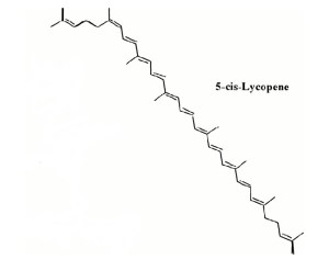 cis-lycopene
