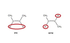 cis-trans2