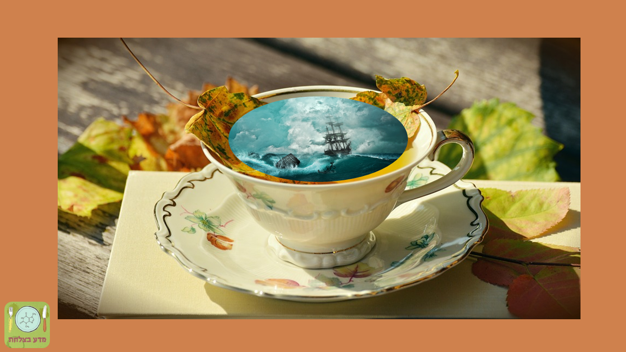 סערה בכוס תה1