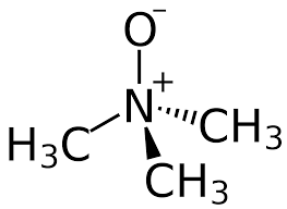 trimethylamine