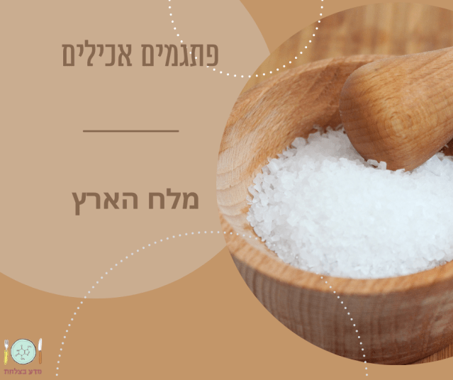 מלח הארץ תמונה