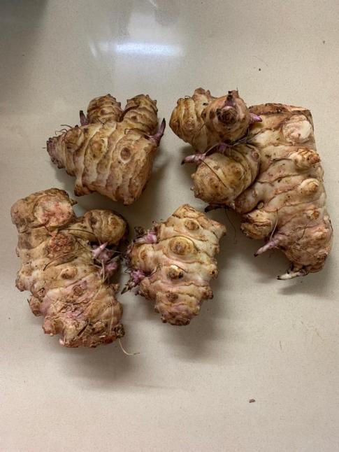 WhatsApp Image 2023-02-14 at 23.30.23 (6)