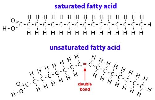 kink-unsaturated_fatty_acid